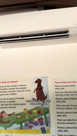 Mini splits #precisioncomfort #refrigerantleak #arizona #aircondtioning 