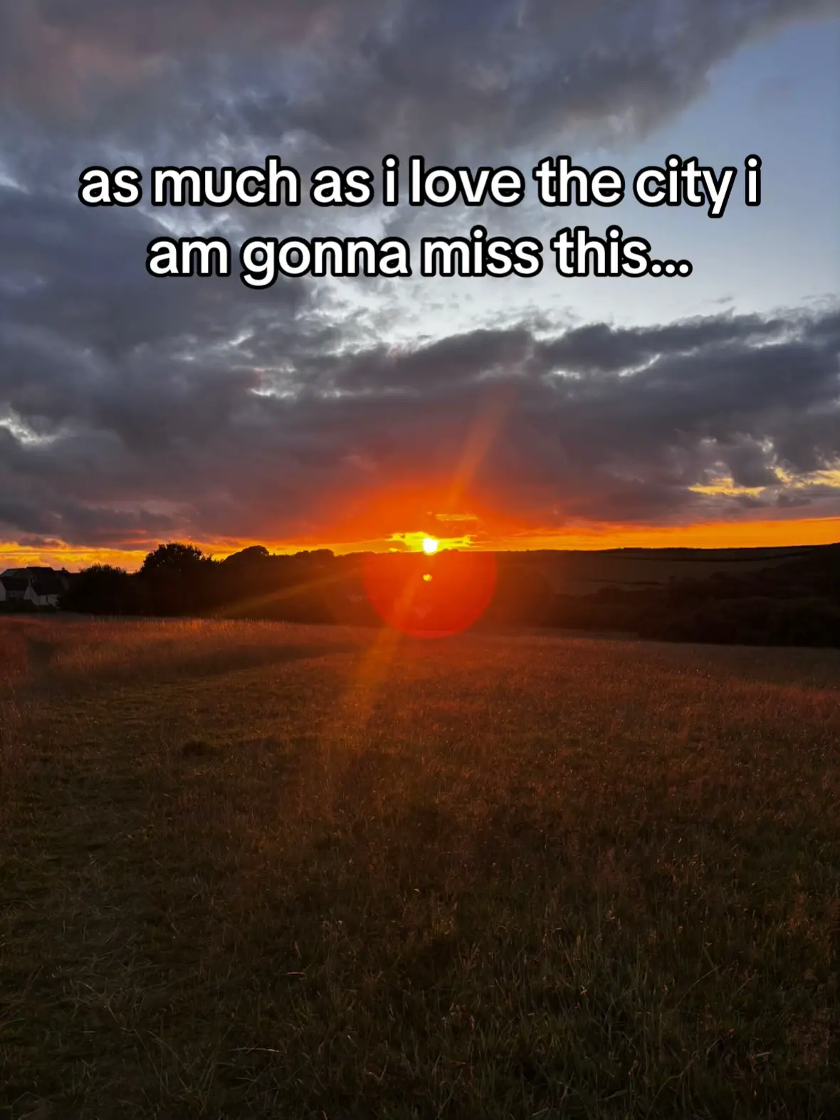 i love walks especially with my dog #fyp #dogwalk #evening #walking #sunsetlover #scenery #moving 