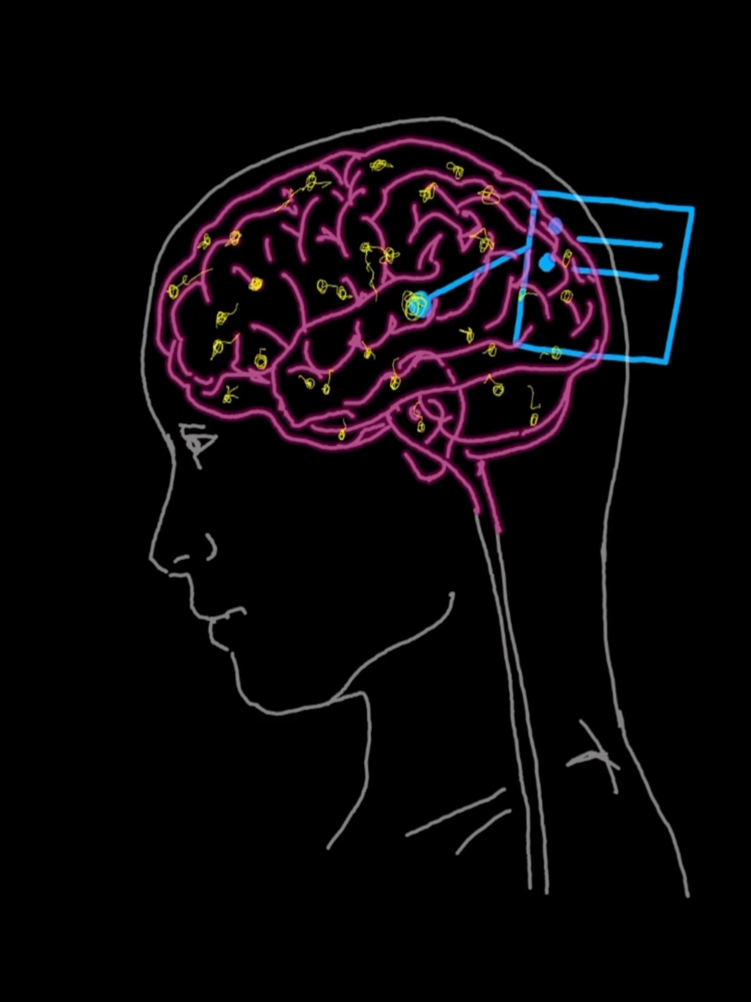 Seu cérebro mente pra você (e você nem percebe) 🧠 #curiosidades #cerebro #psicologia #mente