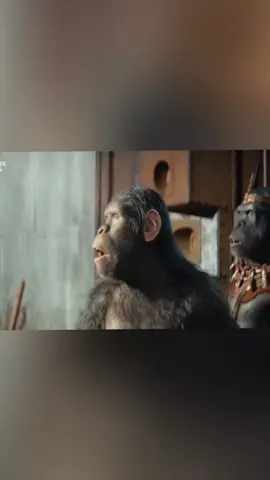 #dawnoftheplanetoftheapes #riseoftheplanetofthapes #waroftheplanetoftheapes #animals #animal #action #cinema 