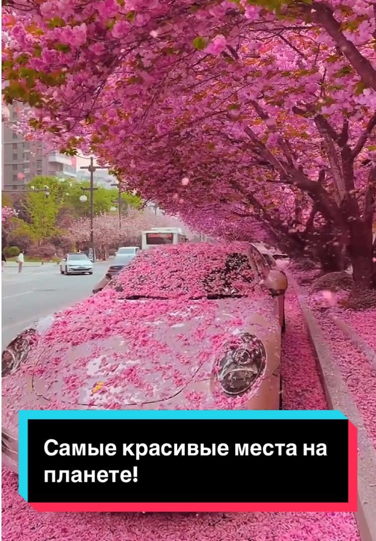 Самые красивые места на планете!                                               #самыекрасивыеместанапланете #самыекрасивые #красивыеместа #красивыеместанапланете #местанапланете #интересноевидео #интересныефакты 