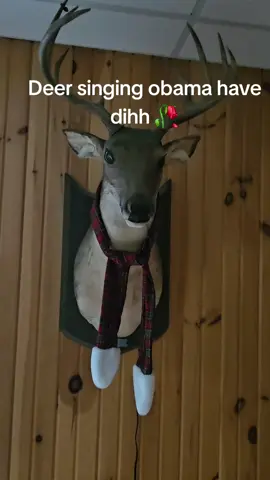 obama have dihh. #obama #dih #obamahavedih #deer