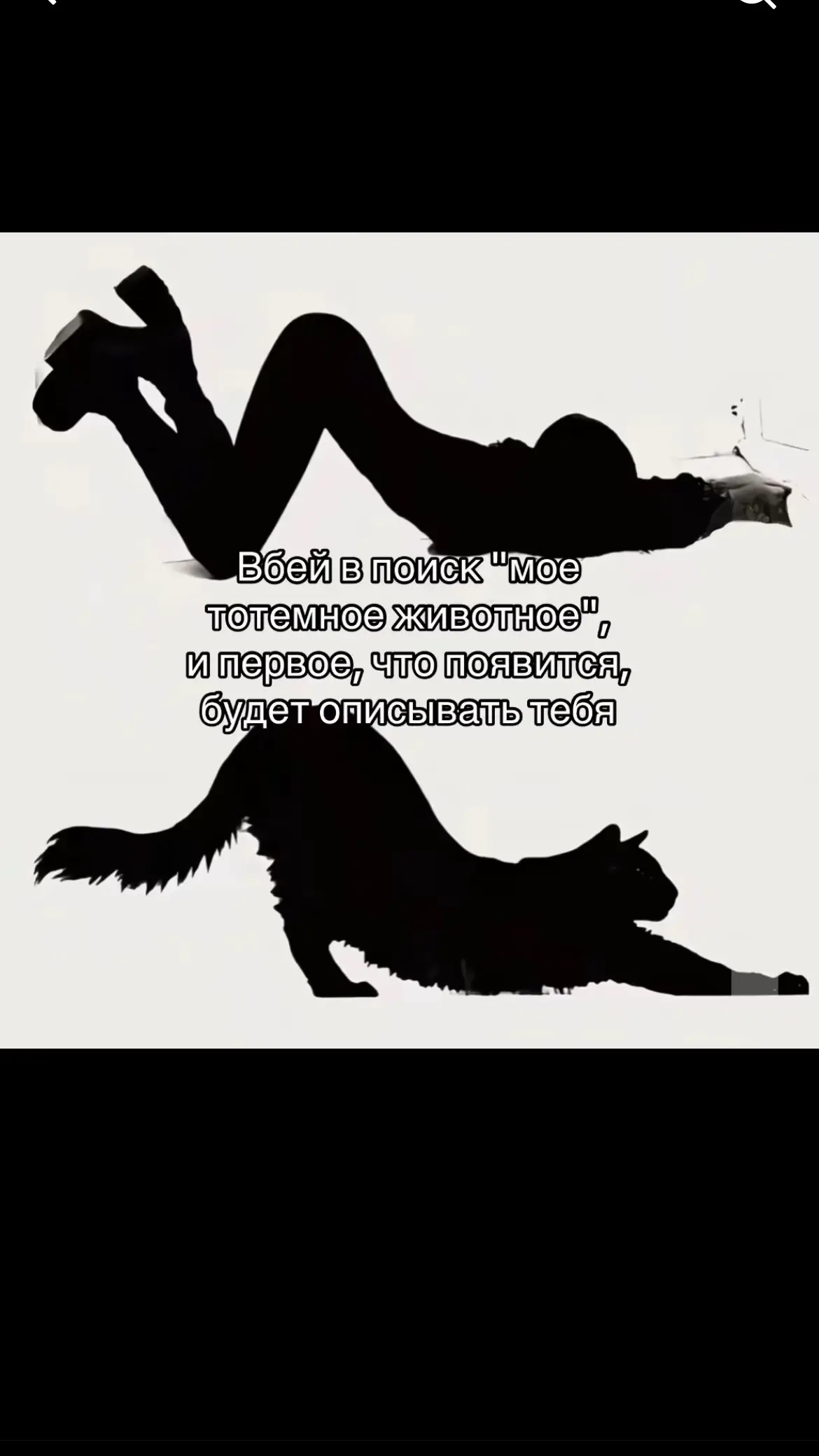 #fypシ゚ #тотемноеживотное #myspiritanimal 