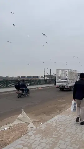 #بغداد #شتاء #العراق #fypシ #اكسبلور #baghdad #explore 