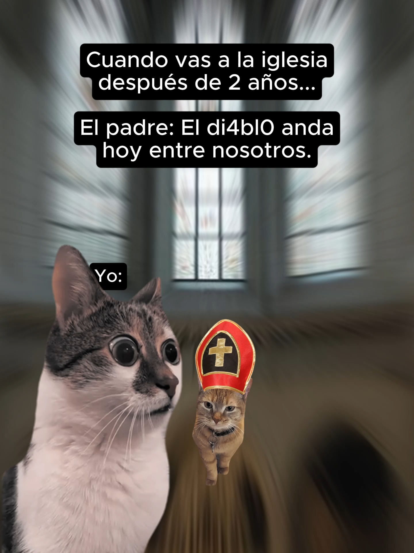 Que me habrá querido decir.