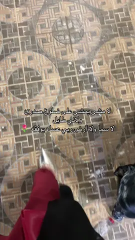 💋💋 #عبدالمجيدعبدالله #اغنيه #فزي_له_يا_أرض #كعب #explore #fyp #foryou #نرجسيه 