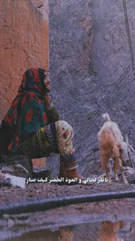 #غافل الهم قلبي #تصميمي #إكسبلوررررررر_explore 