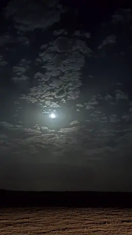 #محضور_من_الاكسلبلوو 