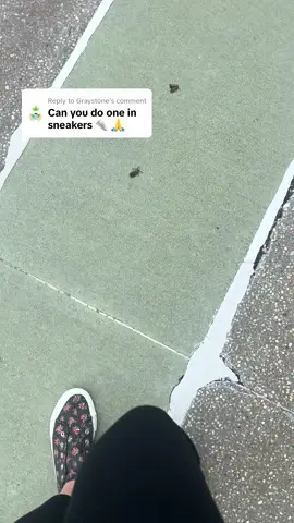 Replying to @Graystone not many out today it felt like a fall day today and i learned they don’t like the cold #fyp #invasivespecies #spottedlanternfly #invasive 