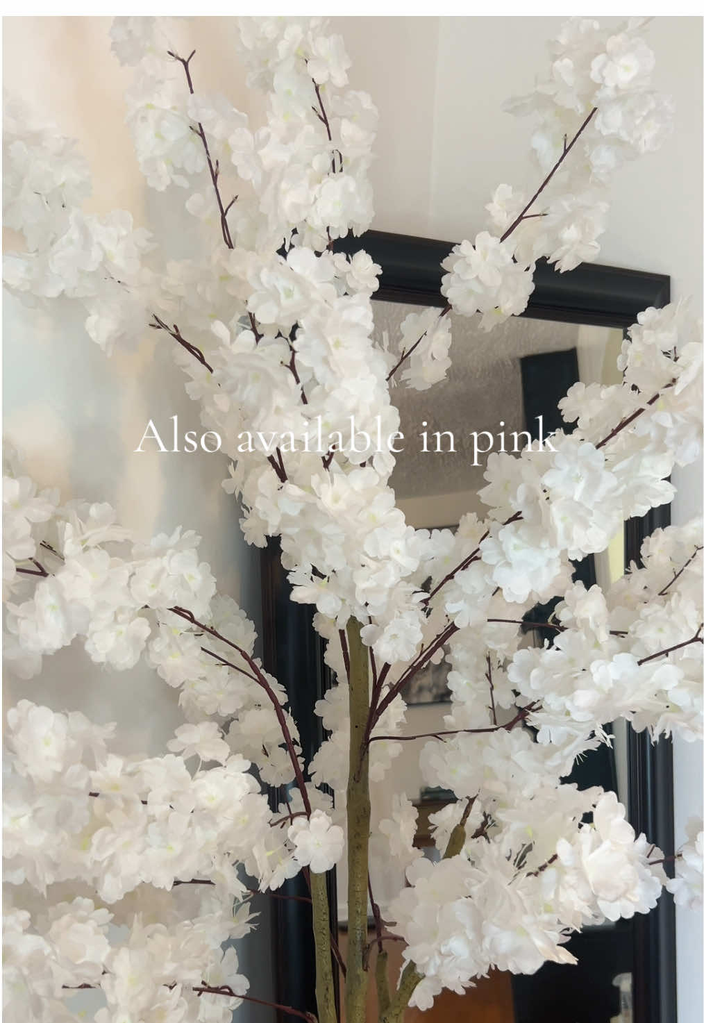 Look no further…. Budget friendly and also available on payment plan 4 interest free payment. #cherryblossom #cherryblossomtree 