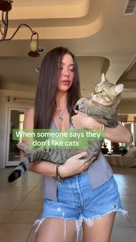 Get out of my face #adoptdontshop 