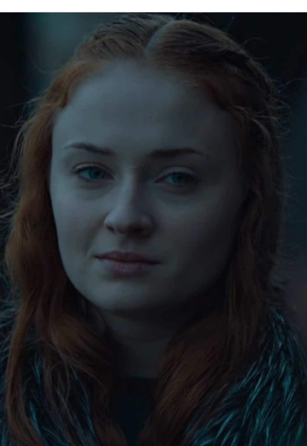 house stark // #gameofthrones #gameofthronesedit #gotedit #housestark #fyp #targetaudience FAKE EVERYTHING