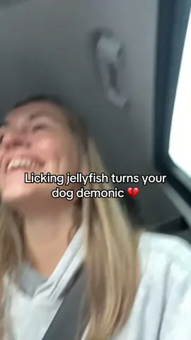 I promise she’s fine now #jellyfish #dog #labradorretriever #labrador #sick 