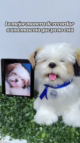 La manera más hermosa de recordar a esa mascota que nos marco  tanto.  #peluchespersonalizados #perú #felting #retratosdemascotas 