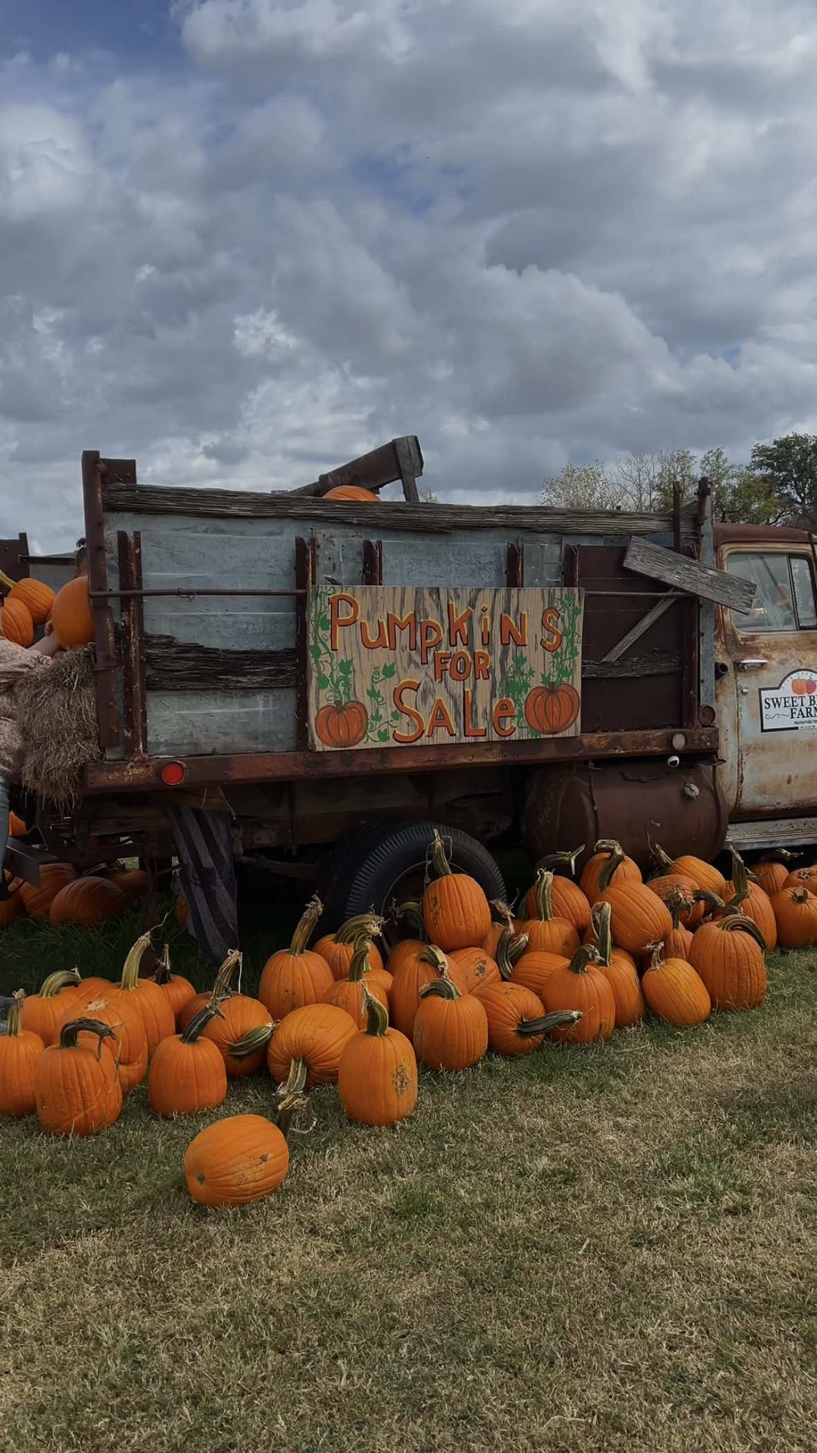 hello august, you’re closer to fall and i can’t wait to make more memories with my littles 🧡 #august1st #helloaugust #fallaesthetic #fallvibes #falldecor #fallactivities #makingmememories #girlmomlife #momof2 #pumpkinpatch #mentallyimhere #goodbyesummer #trendingsong #firstofthemonth #momtoks #5kgoal 