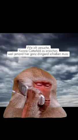 Wenn’s sonst keiner tut, mach ich’s halt. 📞💁🏻‍♀️⛈️🫠🔜☀️🫶🏼 #regen #wolken #fyp #yvonnecatterfeld #Meme 