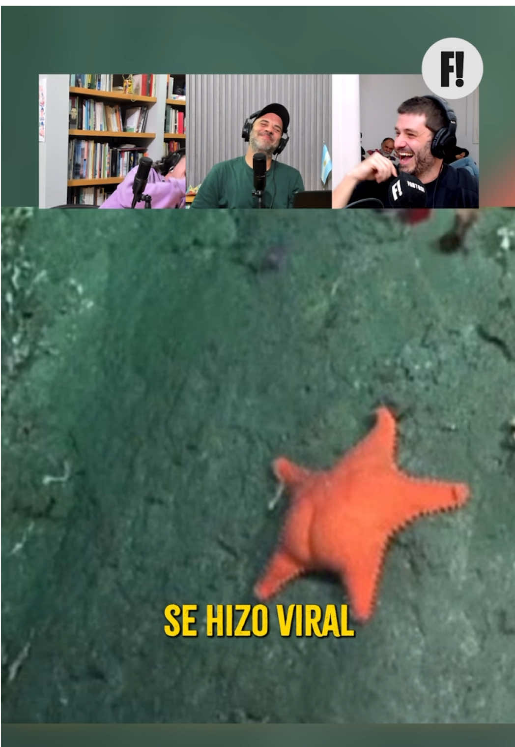🎶 LA ESTRELLITA CULONA Ayer hubo Jingles en Y si sale bien y no podía faltar uno sobre el streaming que está rompiendo records de audiencia. El / De la mano de un clásico de la bersuit. #jingles #conicet #streamconicet #estrellaculona