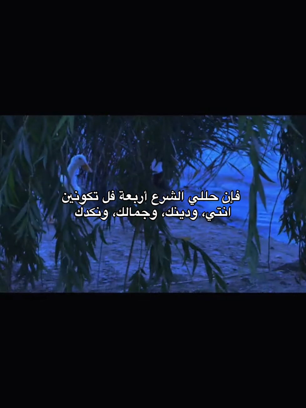 #اقتباسات #عبارات #lovequotes #sadquotes #foryoupage #Spidey #كلمات 