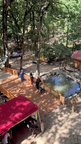 #fyp #foryou #foryoupage #explore #pourtoii #algerie🇩🇿 #tiziouzou #yakouren 