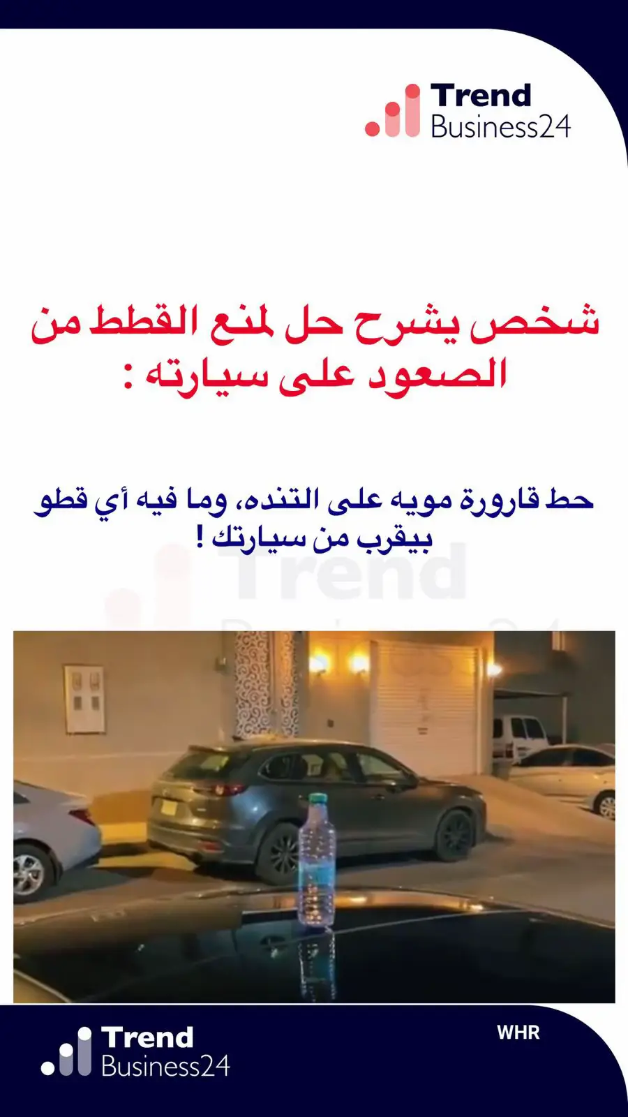 حط قارورة مويه على التنده، وما فيه أي قطو بيقرب من سيارتك ! - #trending #foryou #explore #fyp #viral #اكسبلور #مشاهير 