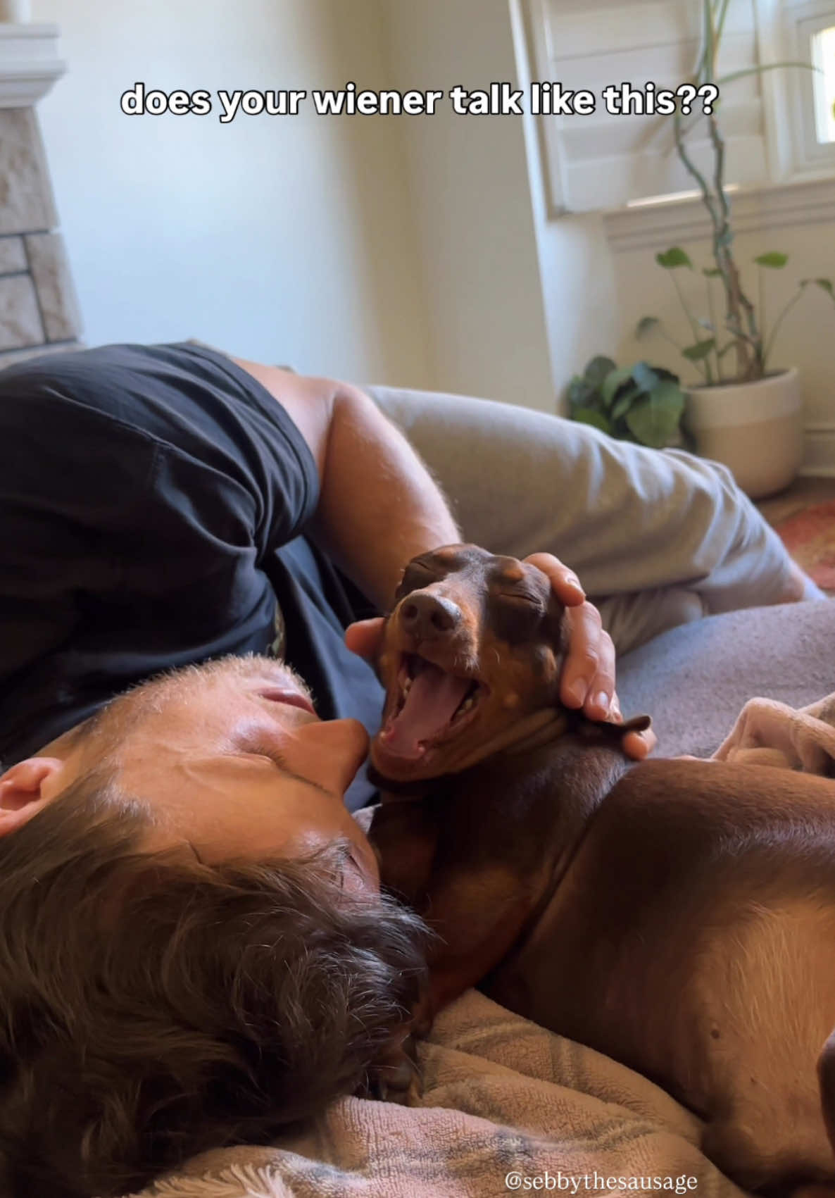 daily routine with the wiener😌🤝 what’s yours???  #dachshund #minidachshund #sausagedog #wienerdog #doxie #minidachshundpuppy #dachshundpuppy   My pets, dachshund video, All dogs, miniature dachshunds, my pet’s funniest habit, my baby dog, training puppies, puppy barking sound, dachshund dog, barking dog sounds, dachshund puppy scream, dog talking, puppies funny videos, dogs licking, howl dog, dog being cute, canadian tiktokers, Toronto dog moms, dog mom, dogs whining, cute dogs on tiktok, when my pet wants attention, sebbythesausage, hi wiener dog screaming