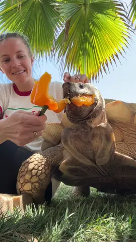 Back to regular scheduled good boy behavior 