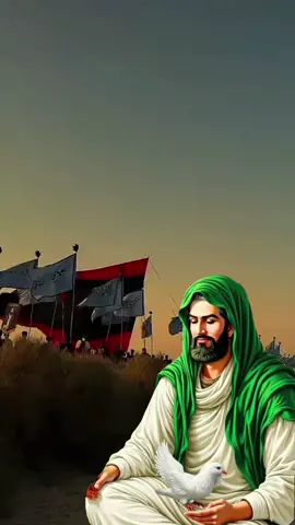يالرايح تزور الحسين #ياحسين #ياعباس ياحسين ياعباس 