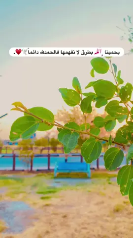 جزء 60 | ♥️ #قناتي_تليجرام_بالبايو💕🦋 #تصويري_احترافي_الاجواء👌🏻🕊😴 #تصويري📸اكسبلوور #اكسبلورexplore #اكسبلور #عباراتكم_الفخمه📿📌 