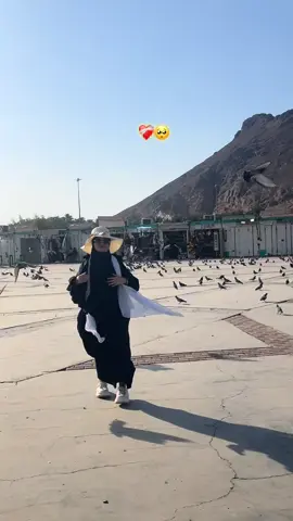 #المدينه_المنوره_مدينه_رسول_الله❤️ #حمام_المدينه_المنورة🕊️🕊️🕊️ #عمرة_العشرينات🕊🕋 