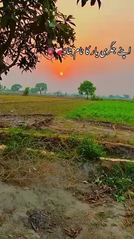 dogar ❤️💕💖 to Dogar you 