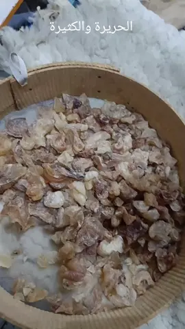 جبانية ديال الحريرة والكثيرة غادة تربي المؤاخرة 0664212125