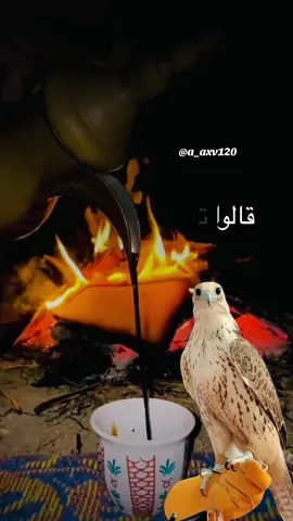 #أكسبلور_شعر_حكم_خواطر 
