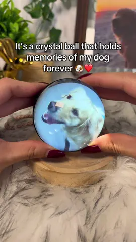 This is the best gift I ever had to remember my dog 😭🐶💖 #dogsoftiktok #doglover #dogloss #crystalball  . . . . It’s a personalized crystal ball lamp that plays your favorite videos of your special moments or special things, like your dog and pets.  