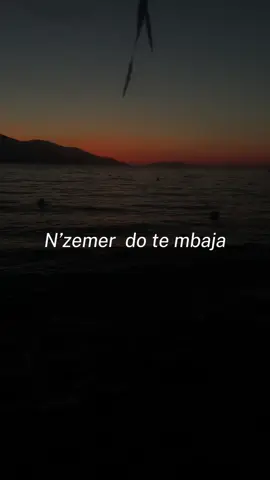 N’🤍 do te mbaja 🥹 #fy #fyp #foryou #viral 