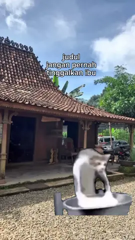 meme kucing  #meme_kucing  #semogafyp  #fyp  #fypppppppppppppppppppppppppppppppppppppppppppppppppppppppppppppppppppp  #cieee  #✧✧   #♪♪