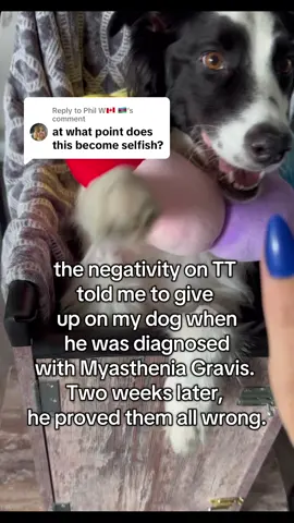 Replying to @Phil W🇨🇦 🇦🇿 and that’s on not giving up on family. Regardless of how much time, effort, or money it requires. #myastheniagravis #myastheniagravisdisease #dogmom #dogsoftiktok #emergencyroom #recovery #recovery #family #myastheniagravisawareness #update 