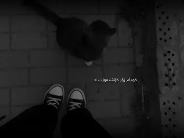 12:54🌚🖤!#au1inn0 #actives? #justedit #foryoupage #raniakam #ستوريات 