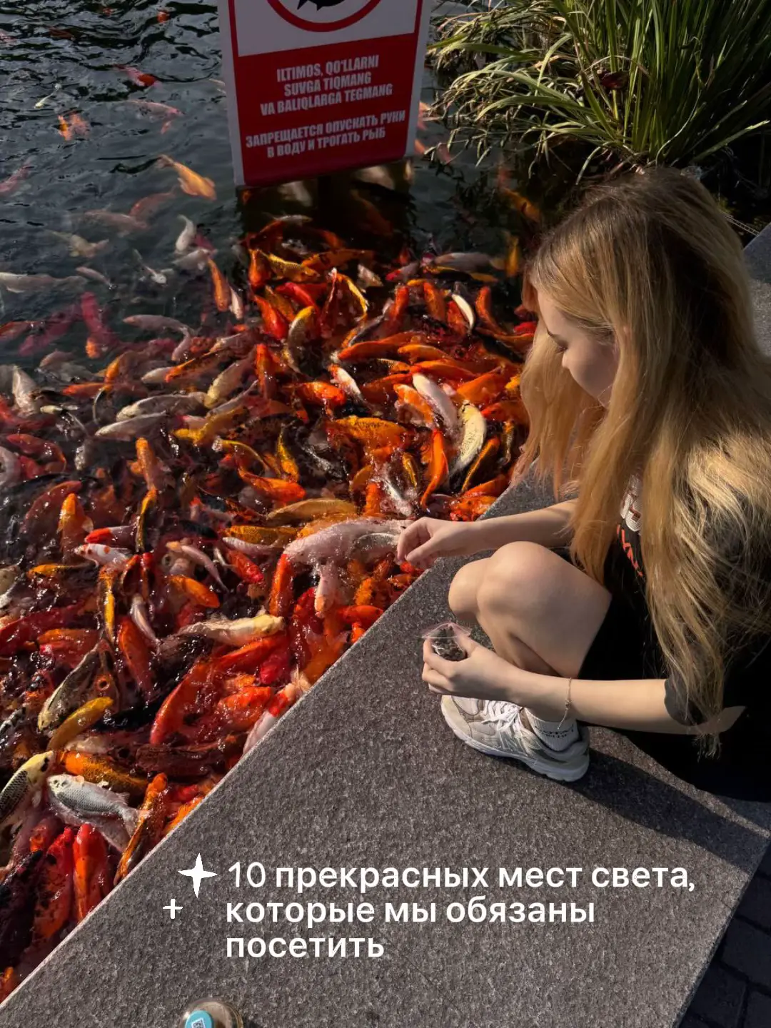 🌍✨ #моймилыйдневник #природа #рекомендации 