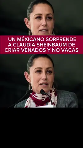 UN MEXICANO SORPRENDE A CLAUDIA SHEINBAUM DE CRIAR VENADOS Y NO VACAS##ultimahora #noticias #claudiasheimbaum #noticiasen1minuto #estadosunidos 