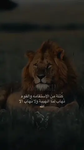 asmar 