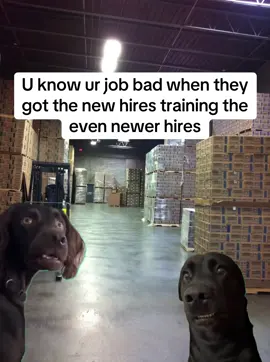 2 days in, already training the new hires  #newhire #jobs #fyp #dogs #stores #training #mustwatch #warehouse 