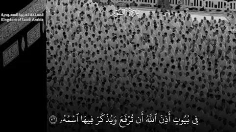 تبااارك الرحمن هالصوووت ثمين جدا😢🤍🤍#ماهرالمعيقلي #سورة_النور #قران_كريم #دعم #لايكات #اكسبلورexplore #lacvj8 #quran #مكه_جده_السعوديه #مكه_المكرمه_المملكه_العربيه_السعوديه #ايات_قرانيه_تريح_القلب #الماهر_بالقرآن 