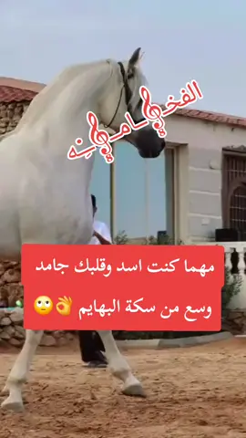 مهما كنت اسد وقلبك جامد  وسع من سكة البهايم 👌👌👌👌👌👌👌 خلصانا #🦅فۣۗہخۣۗہــــ⚔️ـــــــآمۣۗہة👈 