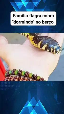 Eu iria ficar apavorada!😳 Me mudaria do lugar. Na minha cabeça outra iria aparecer a qualquer momento em todos os cômodos.😆 #news 