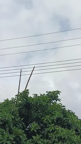 #tiktokbangladesh🇧🇩 #tiktokofficial #viralvideo #foryoupage #hiacelover 