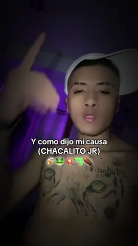 🚨‼️ MÁS NAAAA MI CHOLOOOO 🐸💥🔫🚨💯#chacalito #chicheroneto🎶🍻🔥💣💯 #chicheros_de_corazón #chacalon #chacalonjr #centella #lima #trujillo #trujilloperu #trujilloperu🇵🇪 #chicheros_de_corazón👑😎🎶🎶 #conosur #Cumbia #chimbote #chiclayo #chiclayo_peru #cononorte #sanjuan #chiclayoperu🇵🇪❤ #sanjuan 