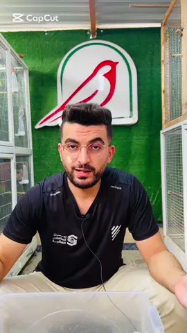 #محمد_الجاير #مصراته #عصافير #ليبيا #متجر_محمد 