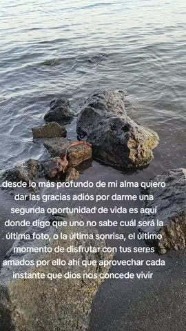 #reflexion #viraltiktok disfruta 