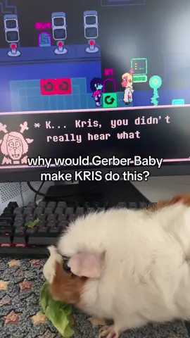 She’s playing with her back paws #deltarune #snowgrave #weirdroute #guineapig #noelle 
