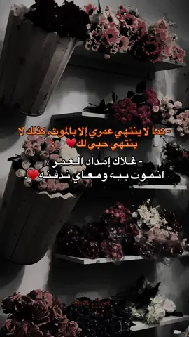 ومعاي ندفنه ♥️♾️#pov #fact #سعد_المسماري💚🇱🇾 #البيضاء_الجبل_الاخضر_ليبيا🇱🇾🔥 #ليبيا_طرابلس_مصر_تونس_المغرب_الخليج #سعوديه🇸🇦يمن🇾🇪بحرين🇧🇭قطر🇶🇦مغرب🇲🇦سوريا🇸🇾 #شعب_الصيني_ماله_حل😂😂 